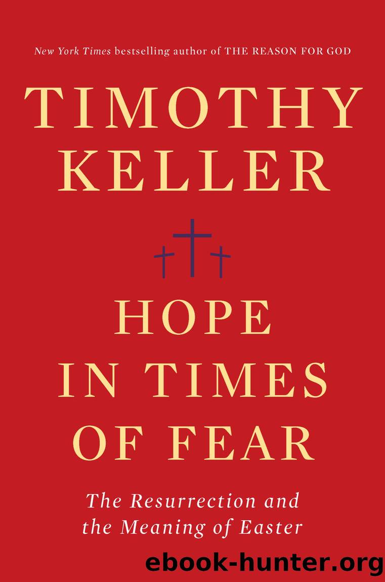 Hope in Times of Fear by Timothy Keller free ebooks download